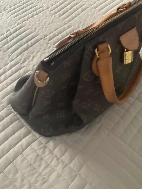 Louis Vuitton Speedy Style Handbag - Picture 7 of 11